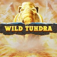 Wild Tundra game thumbnail